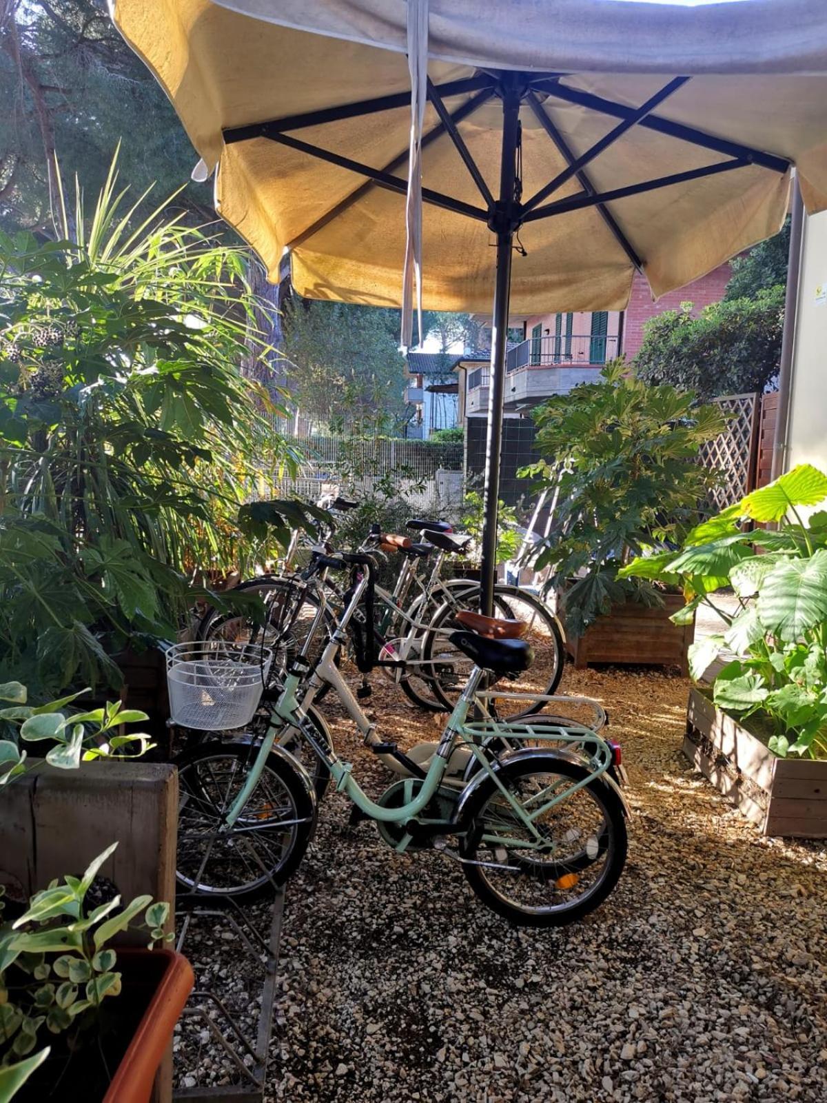Готель Casa Dorita - Free Breakfast Corner 8-12 Червія Екстер'єр фото